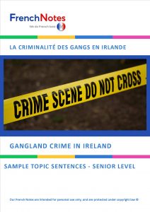 Gangland Crime in Ireland Leaving Cert sentences extract 
