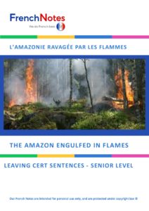 French Notes Sample Sentences On.... AMAZON FIRES